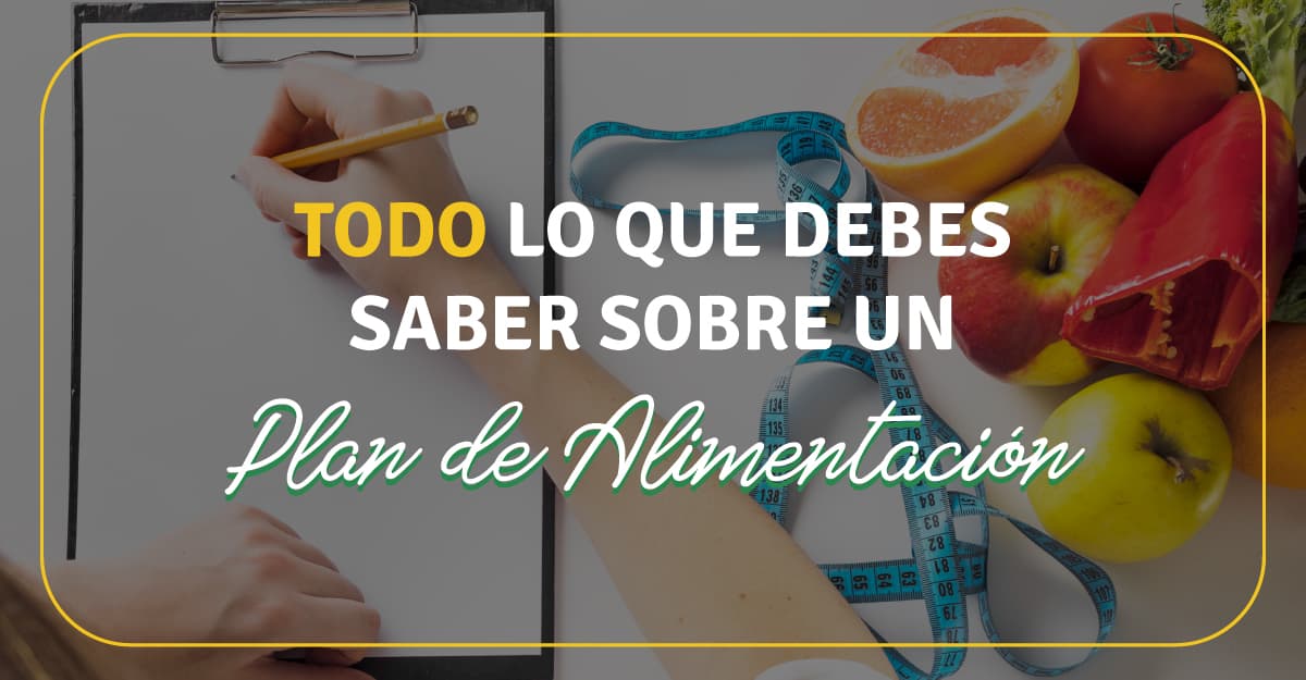 plan-de-alimentacion
