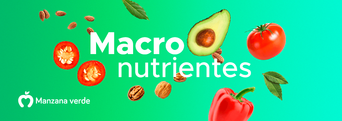 Cuál es la importancia de los macronutrientes
